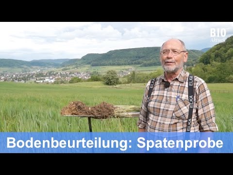 The spade test - visual soil assessment in the field